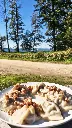 miesne01.webp